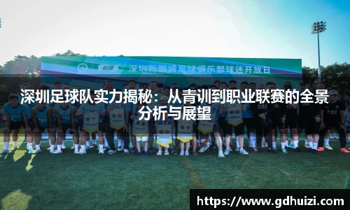深圳足球队实力揭秘：从青训到职业联赛的全景分析与展望