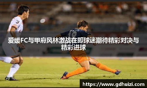 爱媛FC与甲府风林激战在即球迷期待精彩对决与精彩进球